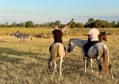 Horseback Adventures Malawi Kuti Wildlife: zebras and giraffe
